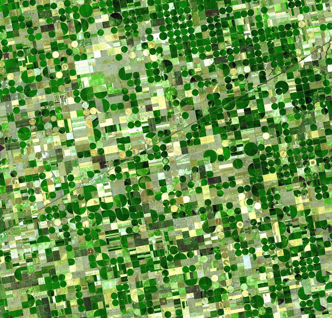 satellite image of a farm
